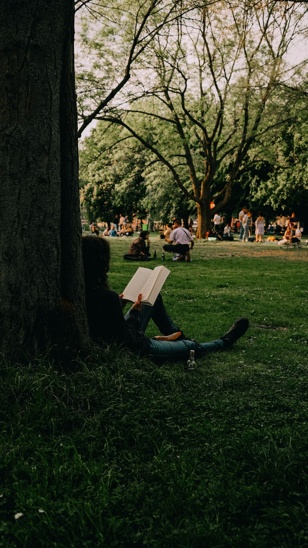 person reading self-help book